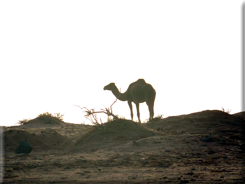 foto Wadi Rum